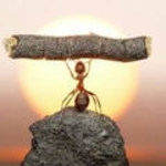 resiliencia