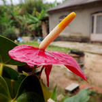 photoiscreativity
