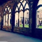 seetheworld