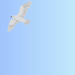 refugioparticular