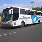 machadobus1