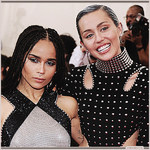 zoekravitz