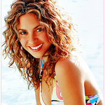 shaki