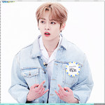 straykids